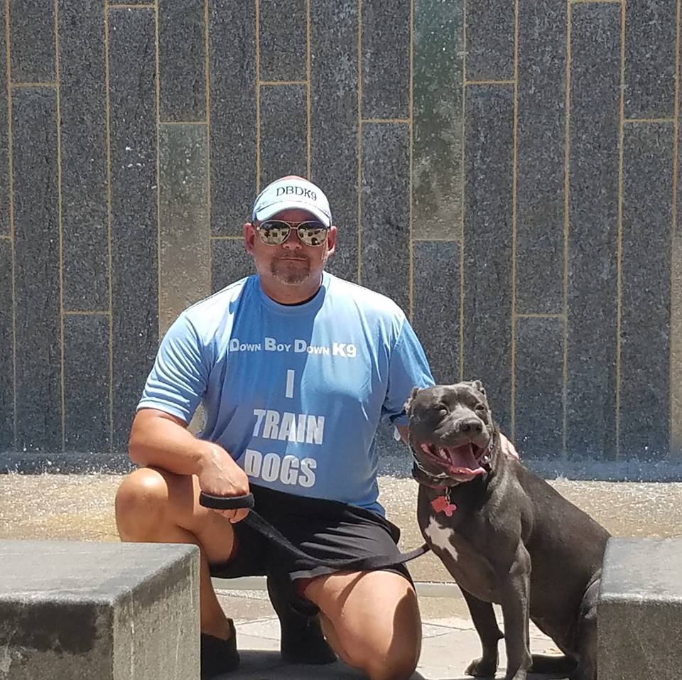 Down Boy Down K9 trainer portrait